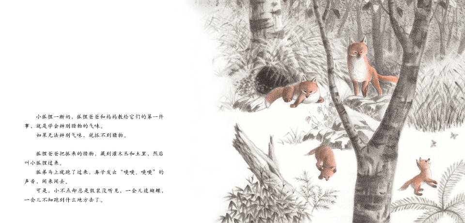 切洛努普的狐狸 (05),绘本,绘本故事,绘本阅读,故事书,童书,图画书,课外阅读